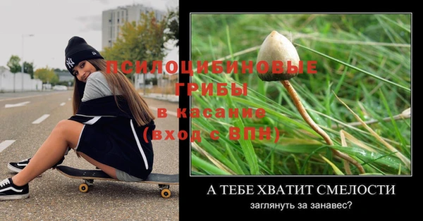 герыч Алексин