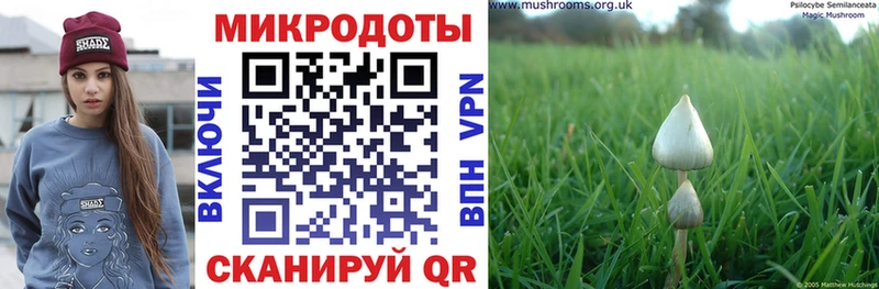 Галлюциногенные грибы ЛСД  Боровичи 